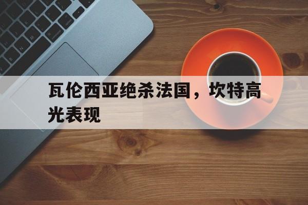 包含瓦伦西亚绝杀法国，坎特高光表现的词条