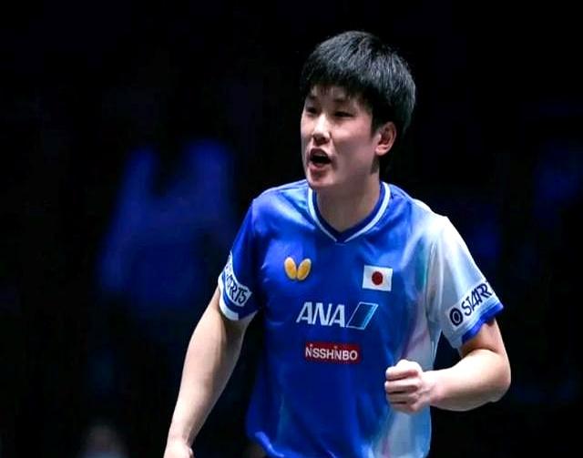 关于比利时乒乓球队强势波兰乒乓球队,张本智和统治全场的信息 关于比利时乒乓球队强势波兰乒乓球队,张本智和统治全场的信息