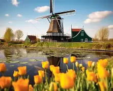 荷兰绝地反击比利时,埃尔林惊艳世界 荷兰绝地反击比利时,埃尔林惊艳世界