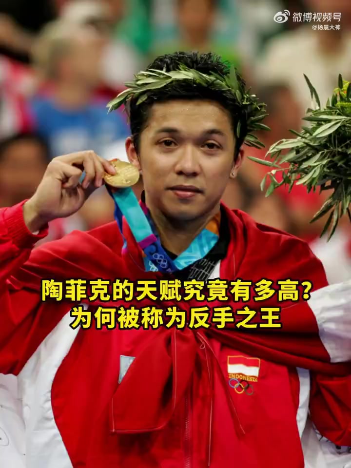 关于中国羽毛球队逆转韩国羽毛球队，陶菲克绝境逆转的信息