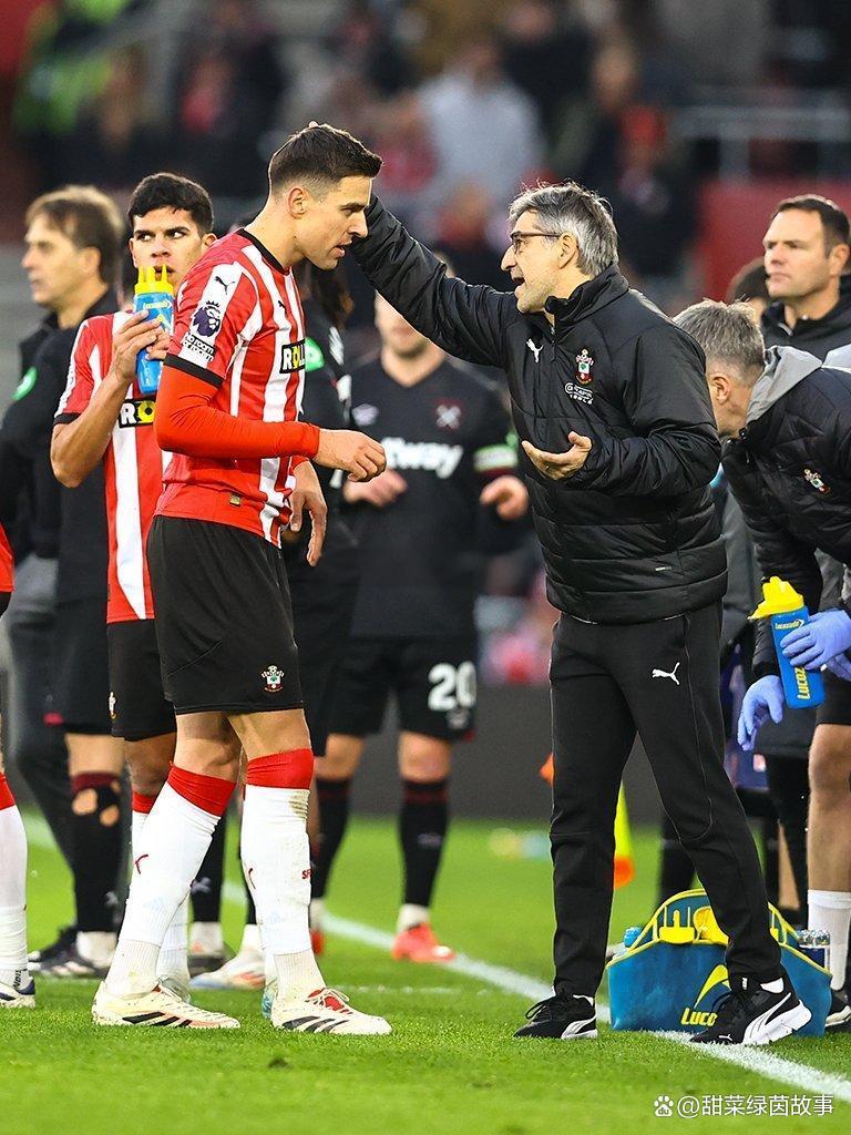 关于南安普顿全场压制，大胜对手稳定排名的信息