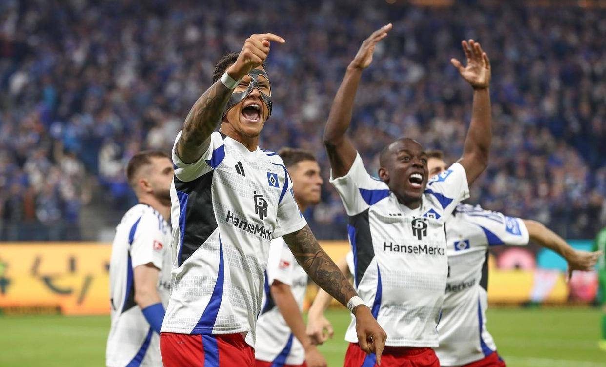 开云体育官网-汉堡球迷维持抗议，俱乐部前途堪忧的简单介绍