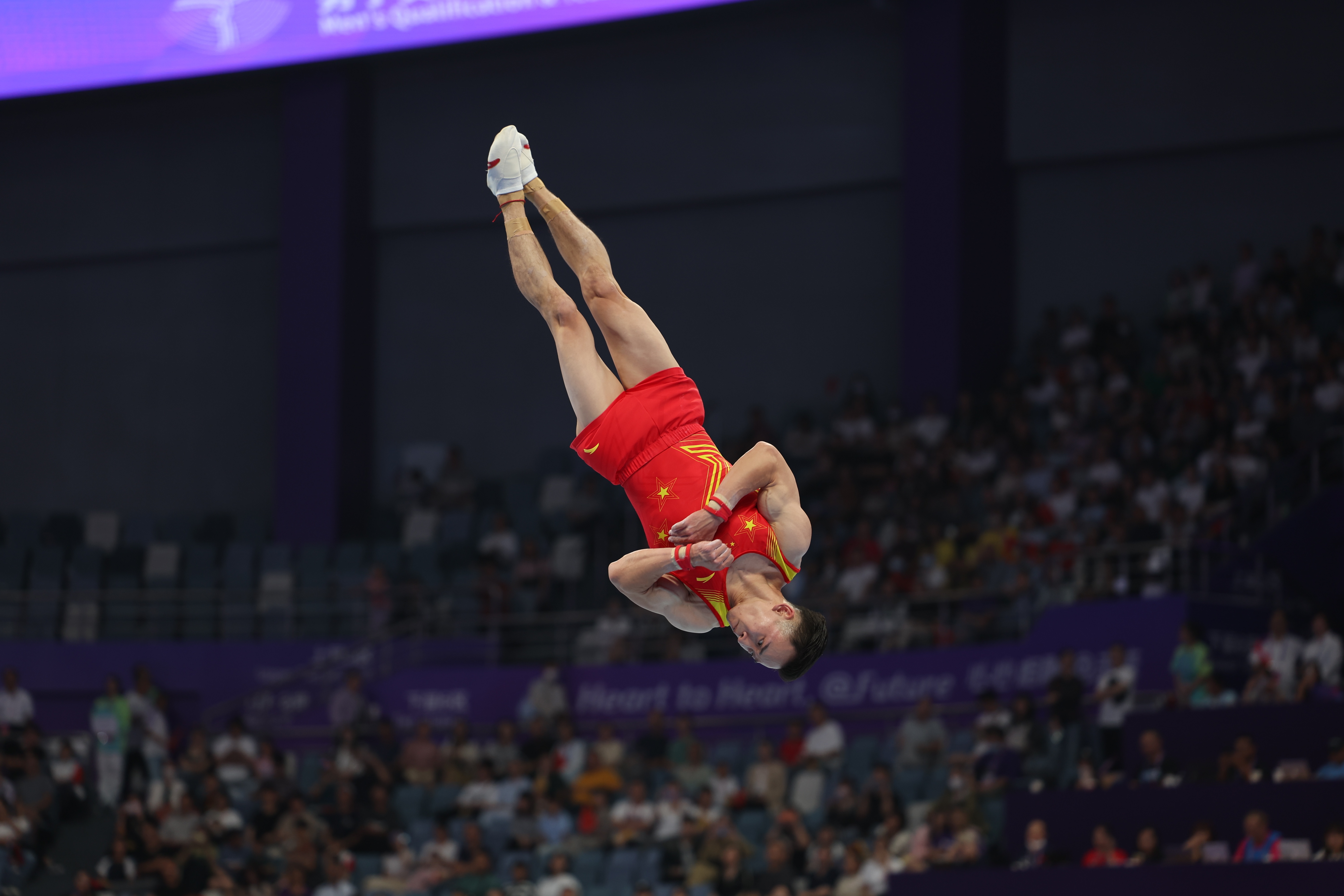 关于体操选手完美表现斩获金牌！的信息