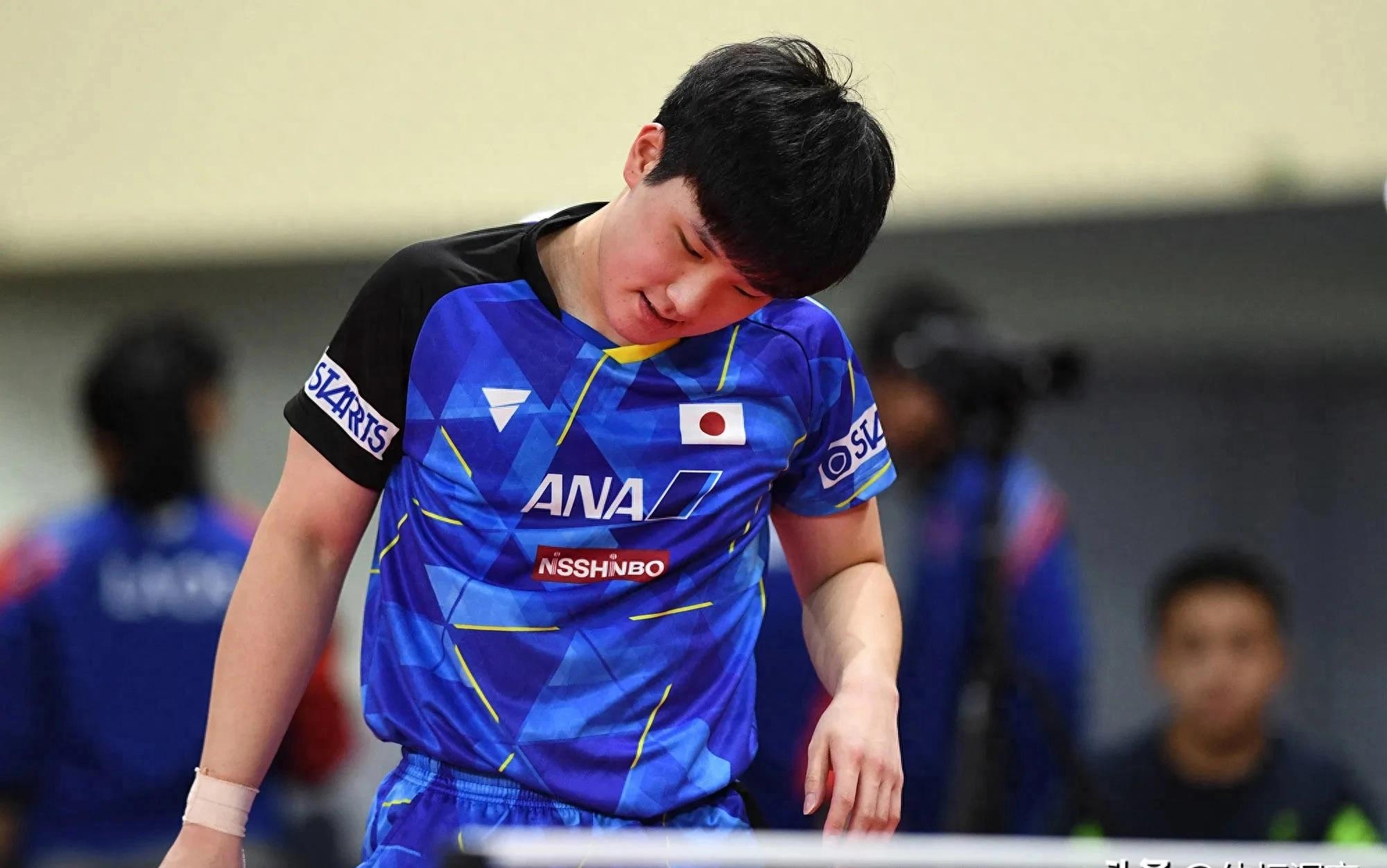 关于波兰乒乓球队绝地反击法国乒乓球队，张本智和关键制胜的信息