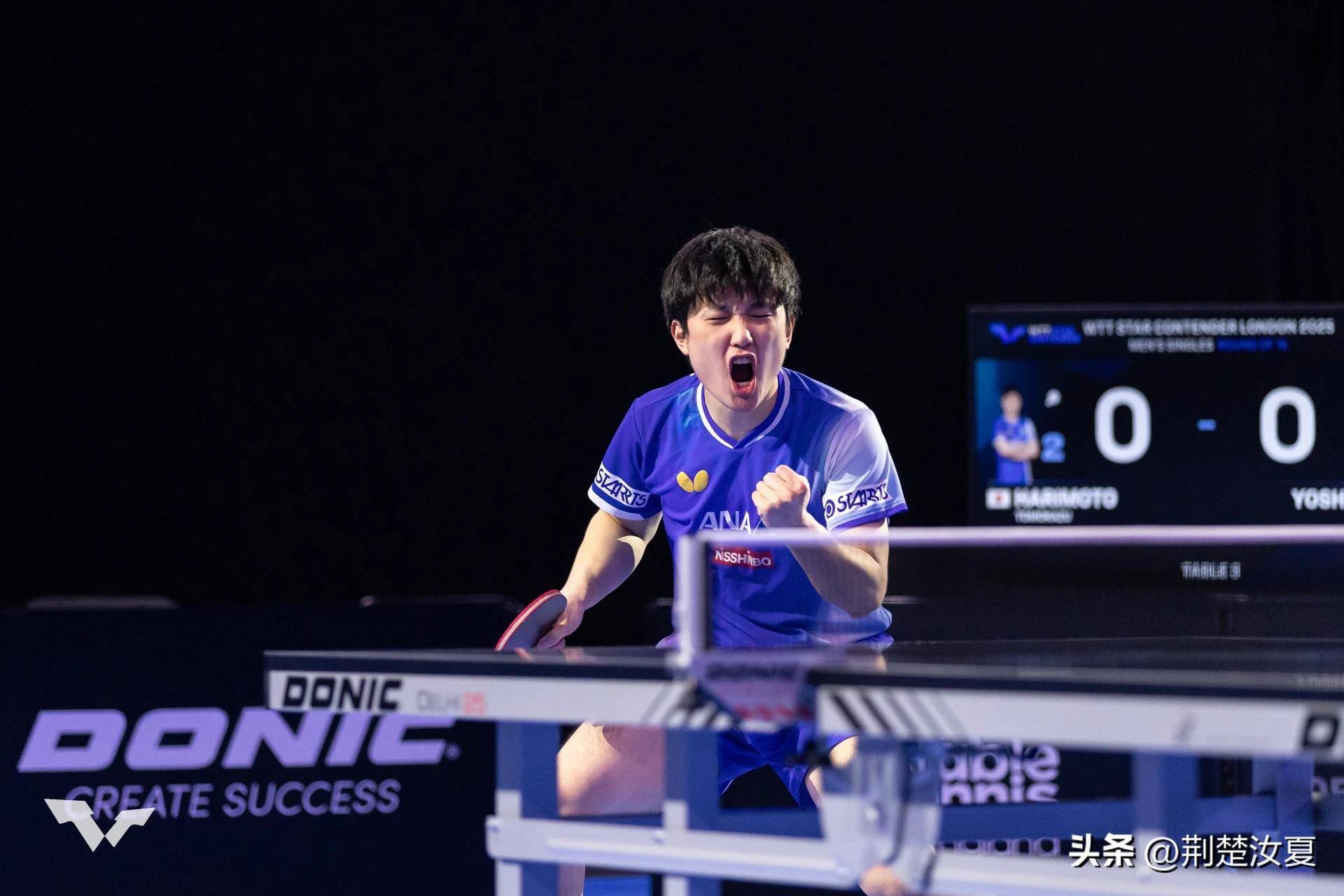 日本队险胜波兰队，张本智和刷新纪录的简单介绍