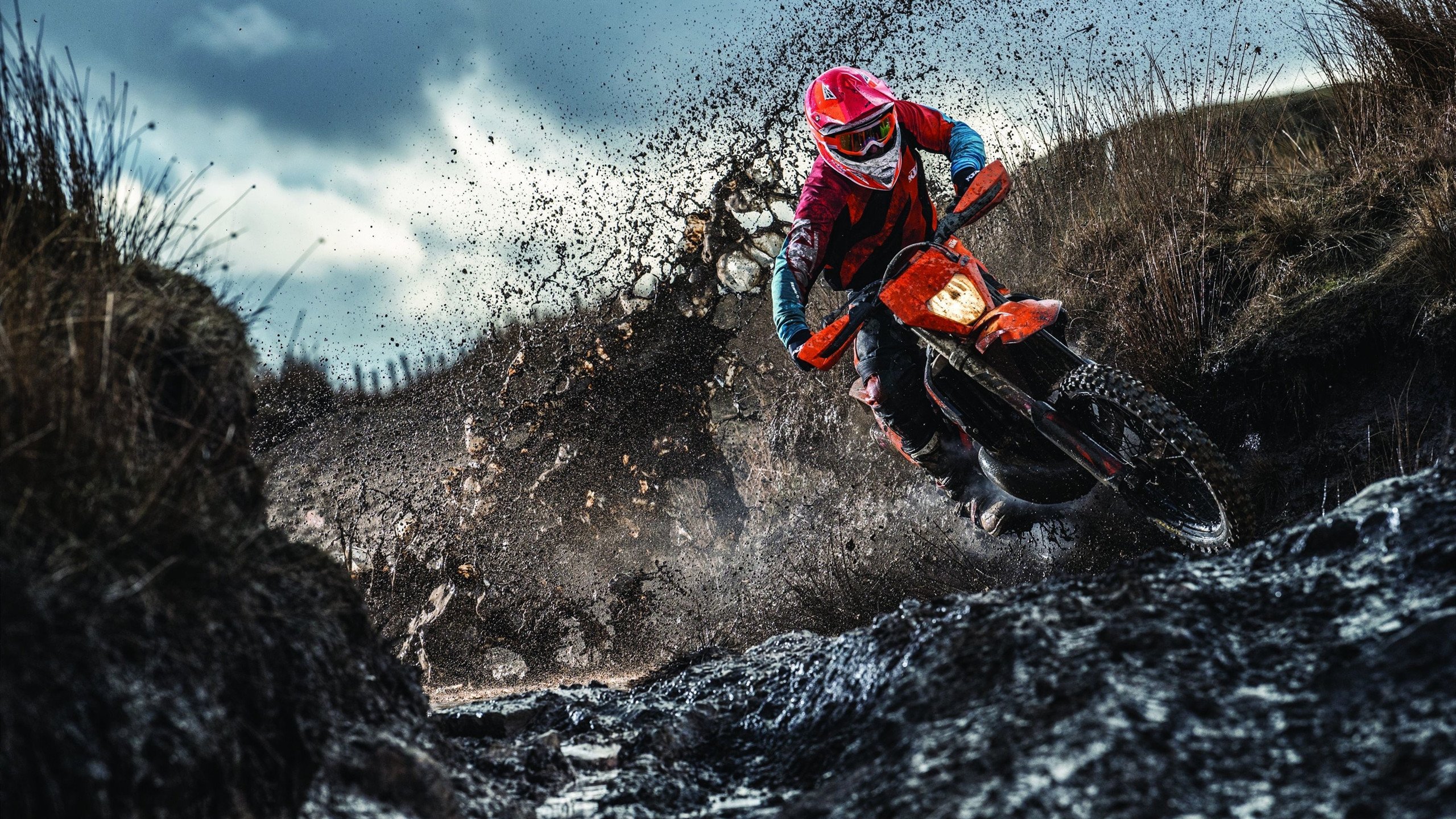 铁血拜仁正面碾压爱尔兰防线，楚阿梅尼数据爆炸诠释统治级中场